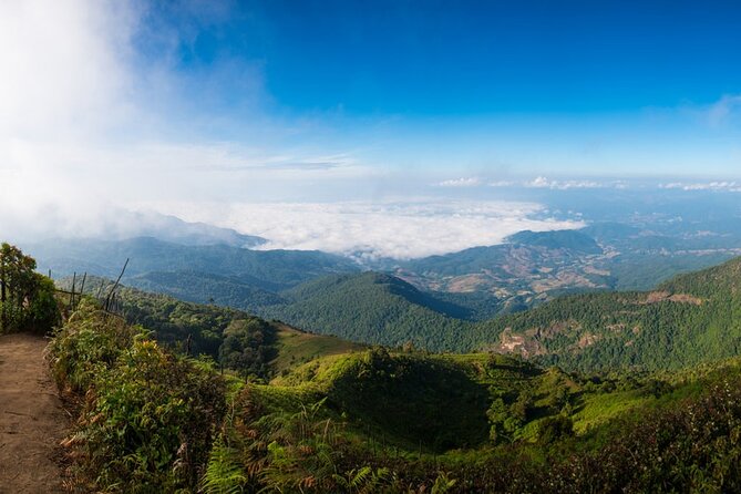 One day Doi Inthanon & Trekking at Pha Dok Siew - The Pha Dok Siew trek through forest