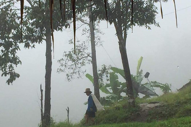 One day Elephants in Nature Experience & Grand Canyon Jumping - The day begins with Chiang Mai’s rural edge