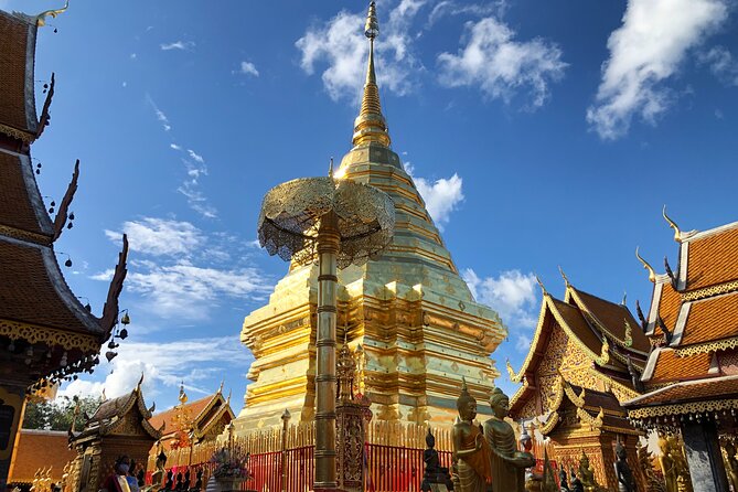 One Day Tour Doi Suthep Temple, Palad Temple, Orchid Farm, Longneck hill tribe village (Private tour) - The Karen Long Neck Village visit needs context