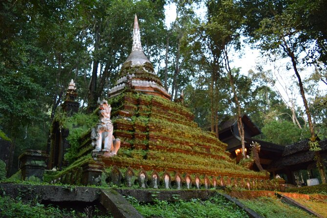 One Day Tour Doi Suthep Temple, Palad Temple, Orchid Farm, Longneck hill tribe village (Private tour) - What the $129.70 price includes