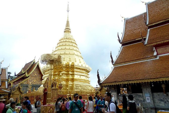 One Day Tour Doi Suthep Temple, Palad Temple, Orchid Farm, Longneck hill tribe village (Private tour) - Wat Pha Lat brings a quieter mountain mood
