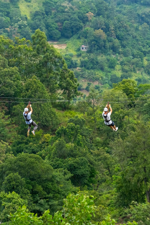 Pai: Ultimate Ziplining Adventure through the Jungle - Key points to know before you book