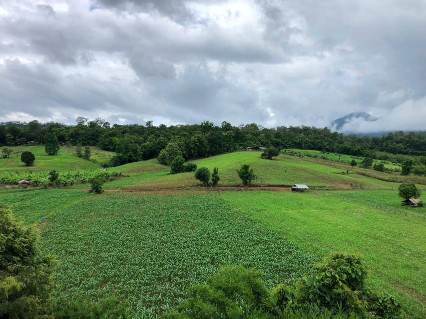 Pai: Ultimate Ziplining Adventure through the Jungle - Getting to the Pai zipline site