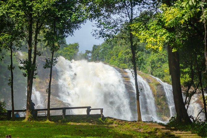 Pha Dok Siew Nature Trail & Doi Inthanon National Park From Chiang Mai - King and Queen Pagodas above the forest