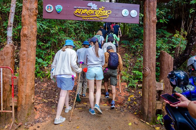 Pha Dok Siew Nature Trail & Doi Inthanon National Park From Chiang Mai - The two-hour Pha Dok Siew trail