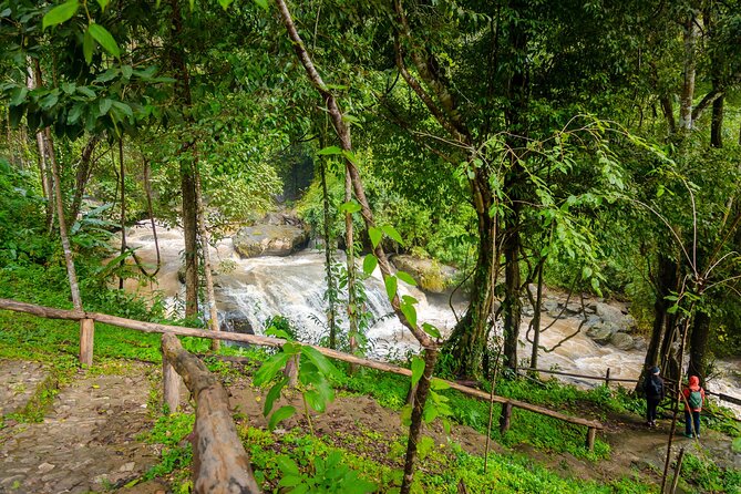 Pha Dok Siew Nature Trail & Doi Inthanon National Park From Chiang Mai - White Karen village and Hmong market