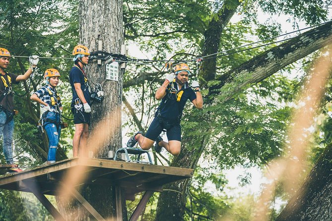 Phoenix Zipline Adventure Park – Chiang Mai Thrills - The Main Strengths and Weak Spots