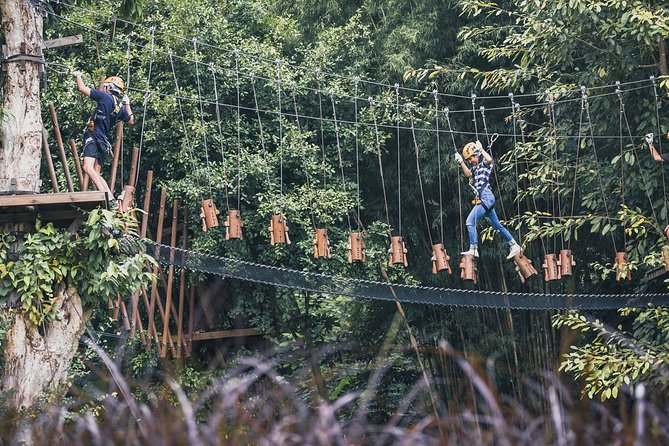 Phoenix Zipline Adventure Park – Chiang Mai Thrills - What the Course Actually Feels Like