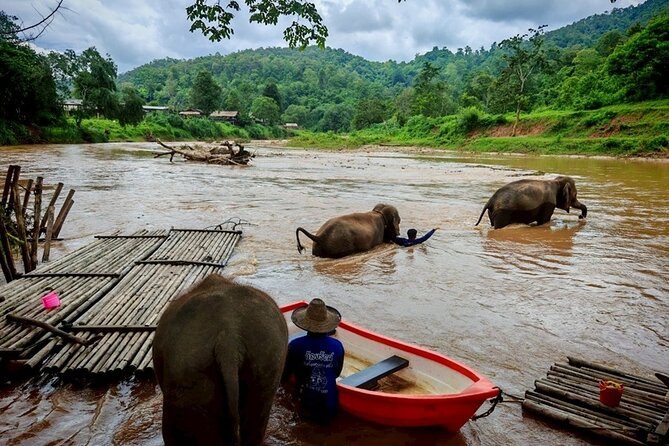 Private 3 Day Chiang Mai and Chiang Rai Tour - Day two: hilltop views and the Myanmar border