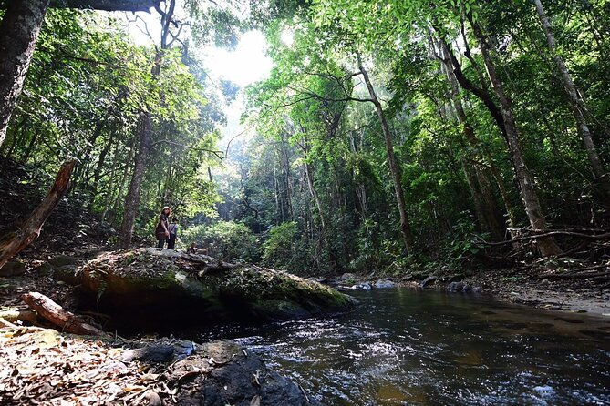 Private All-Inclusive Doi Inthanon & Pha Dok Siew Waterfall Tour - Guides make or break this mountain day