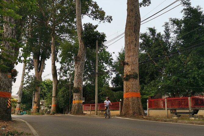 Private Chiang Mai Half-Day Bike Tour - Why this four-hour route works well
