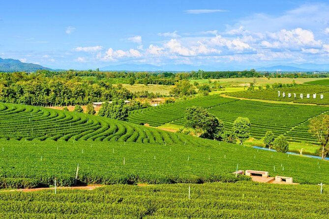 Private Chiang Rai Day Trip with Golden Triangle from Chiang Mai - The Golden Triangle beside the Mekong