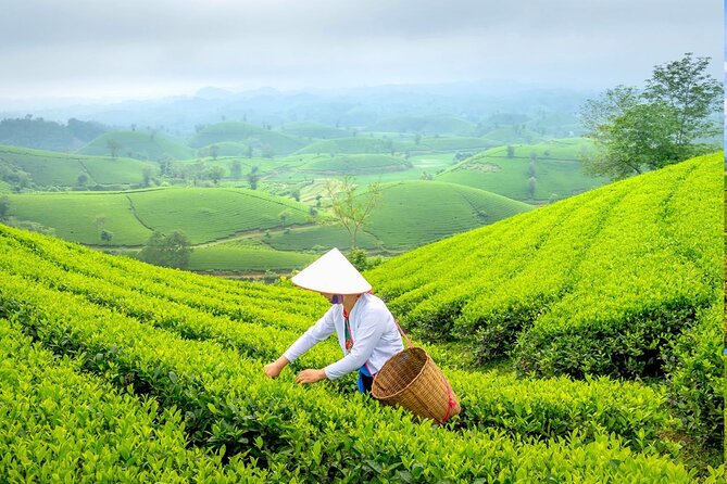 Private Chiang Rai Day Trip with Golden Triangle from Chiang Mai - Mae Kachan Hot Spring, a useful first break