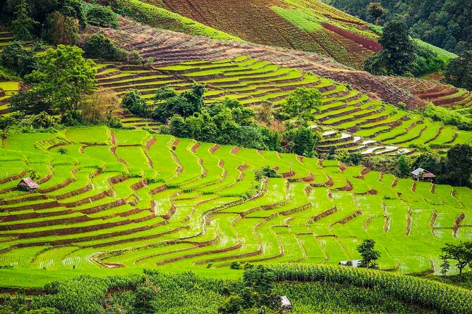 Private Program Discovery Chiang Mai - Half/Full day / Night tour - Doi Suthep, the three-hour mountain stop
