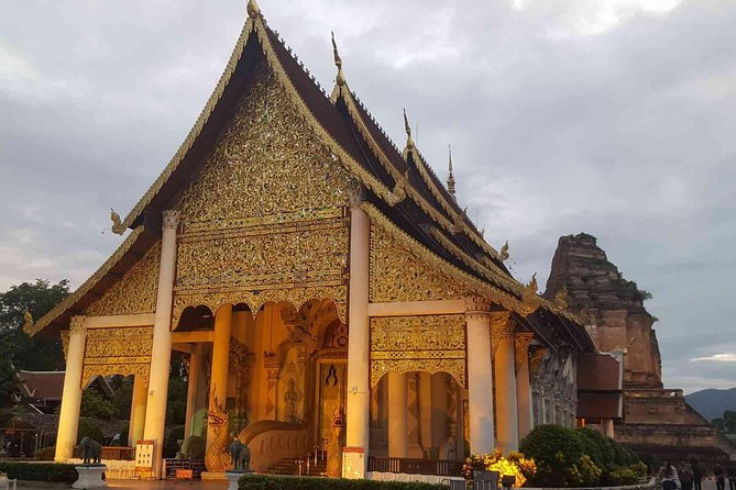 Private Program Discovery Chiang Mai - Half/Full day / Night tour - Choosing between the Night Bazaar and Tha Pae Walking Street
