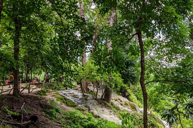 Private Tour: Bua Thong Sticky Waterfalls Tour - Why Bua Thong is called the Sticky Waterfalls