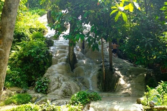 Private Tour: Bua Thong Sticky Waterfalls Tour - The picnic area and what to bring