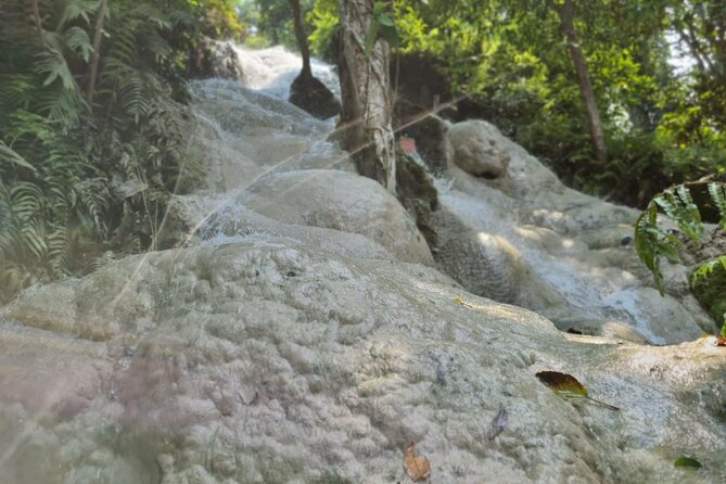 Private Tour: Bua Thong Sticky Waterfalls Tour - What the private format is worth at $105.41