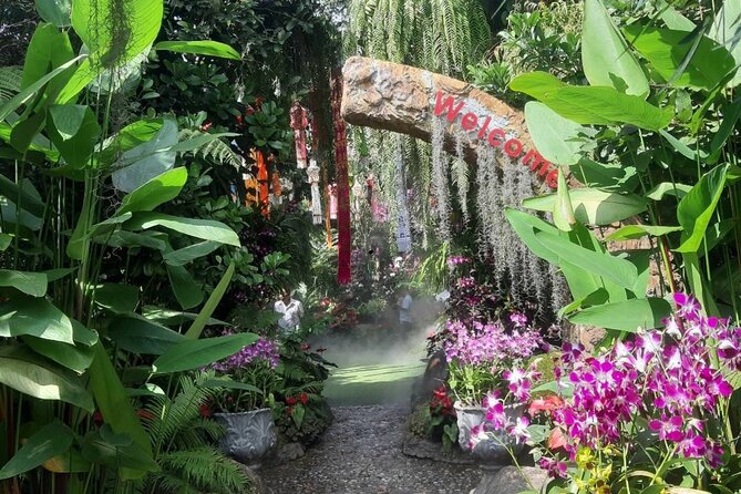 Private Tour Chiang Rai 3 Wonderful Temples & Lalitta Cafe - Mae Khachan Hot Spring: a short reset