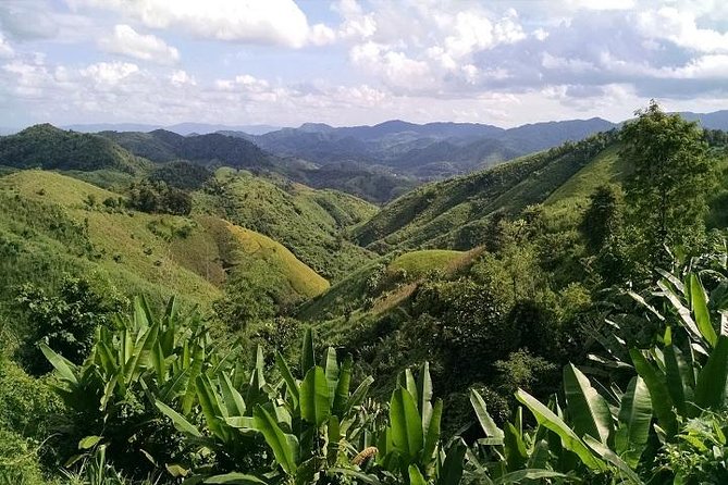 Private Tour: Chiang Rai Golden Triangle Day Trip from Chiang Mai - Akha and Yao villages require careful expectations