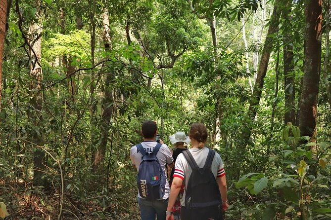 Private Tour Doi Inthanon And Trekking Nature Trail, Chiang Mai - What the Private Format Changes