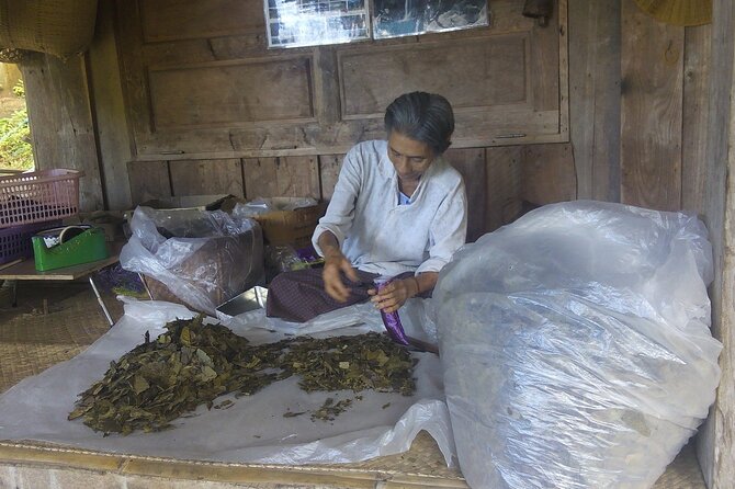 Private Tour in Chiang Mai Village Experience Nature - Tea, coffee, and the optional tree house stop