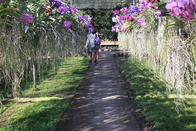 Private tour] Perfect day! Sticky waterfall + ChiangDao Cave + Wat BandenTemple - What to pack for the 8:30 a.m. departure