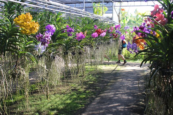 Private tour] Perfect day! Sticky waterfall + ChiangDao Cave + Wat BandenTemple - Wat Ban Den and its oversized temple grounds