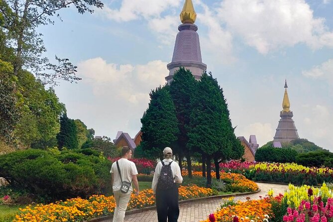 Private Tour to Chiang Mai Rice Terraces and National Park - Pa Pong Piang and the changing colors of rice country