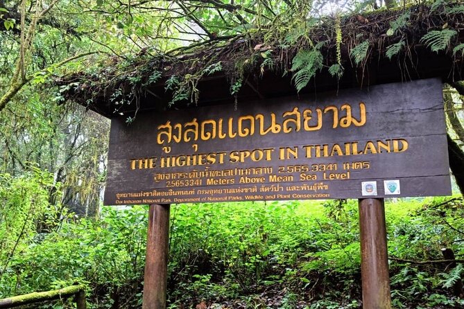 Private Tour to Chiang Mai Rice Terraces and National Park - Mae Klang Luang combines coffee, community, and lunch