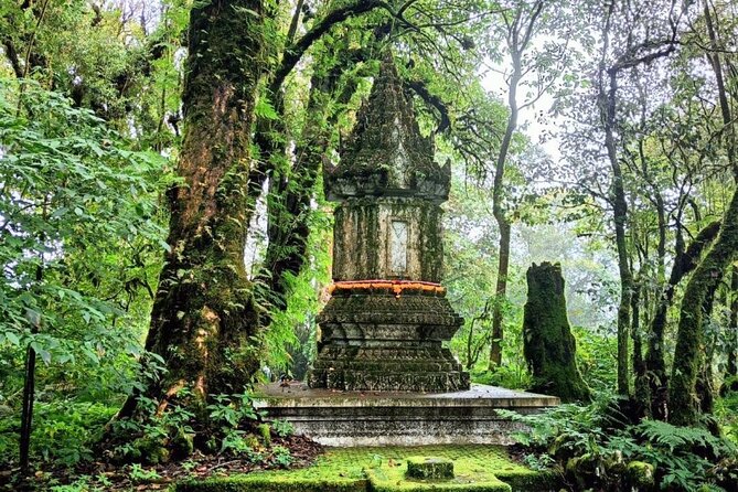 Private Tour to Chiang Mai Rice Terraces and National Park - The Twin Royal Stupas and their garden views