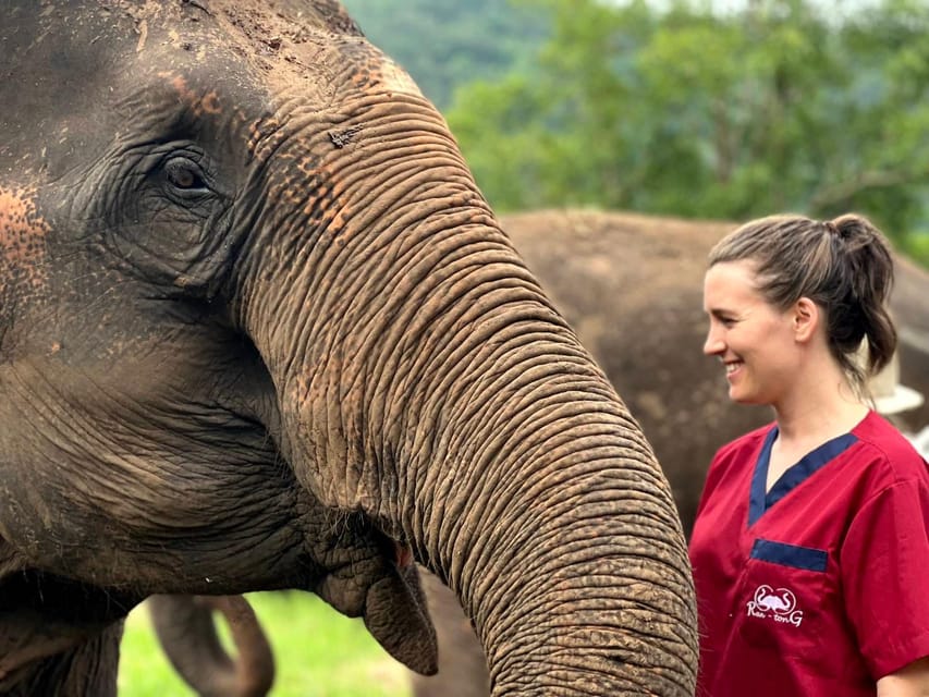 Rantong elephant sanctuary Chiangmai - Small practical tips for a smoother visit