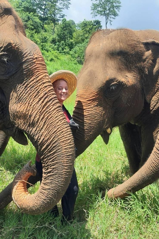 Rantong elephant sanctuary Chiangmai - Meeting rescued elephants outside Chiang Mai