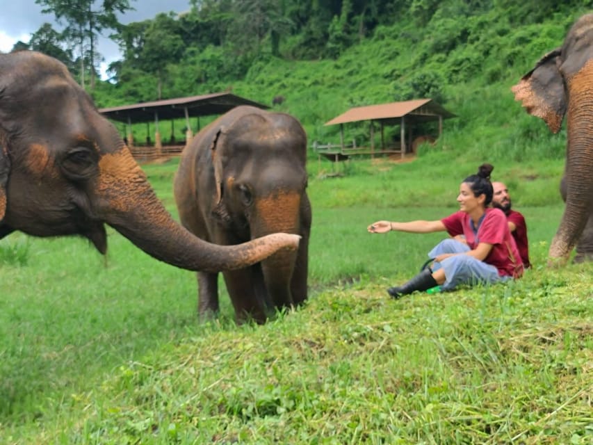 Rantong elephant sanctuary Chiangmai - Coffee, tea, food, and a short half-day schedule