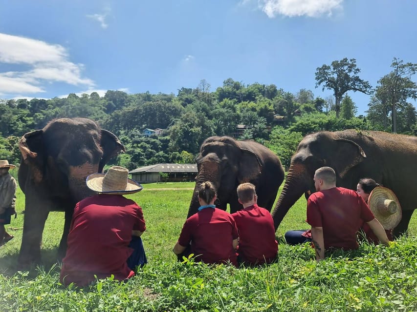 Rantong elephant sanctuary Chiangmai - What the $57 price really covers