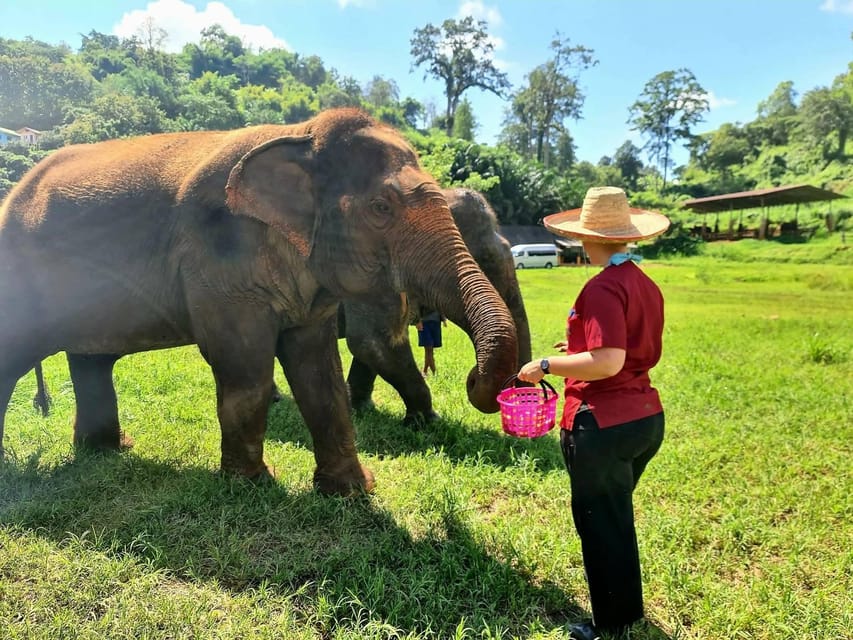 Rantong elephant sanctuary Chiangmai - Who will enjoy Rantong most