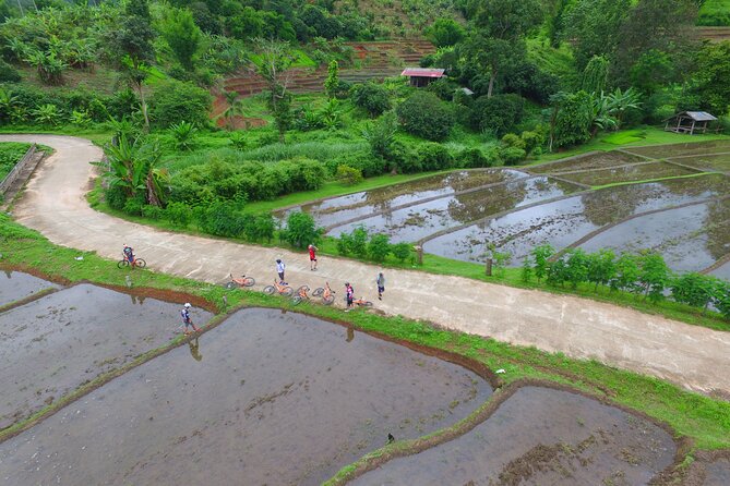 Rural Explorer Mountain Biking Tour Chiang Mai - Is $81.44 a fair price?