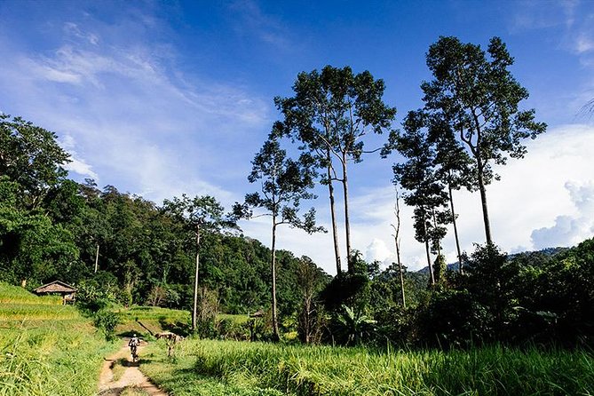 Rural Explorer Mountain Biking Tour Chiang Mai - Starting beside Mork Fa Waterfall