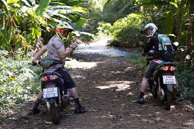 Scooter Adventure with elephants, views and FUN drive yourself - Who will enjoy this Chiang Mai day
