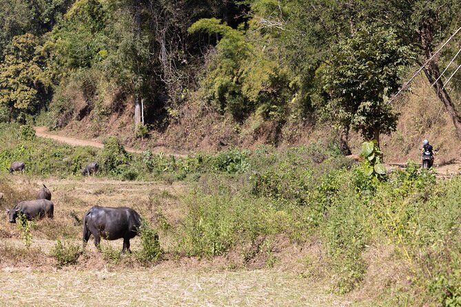 Scooter Adventure with elephants, views and FUN drive yourself - Practical planning before you book