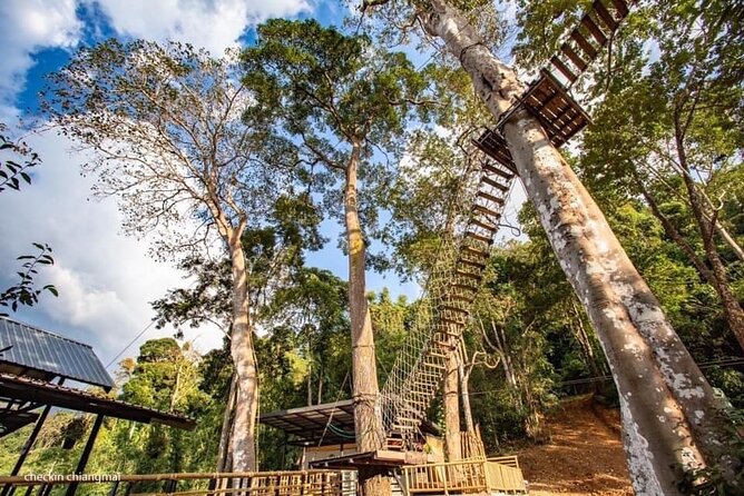 Sky Hawk Zipline Experience in Chiang Mai - The views from Chiang Mai’s mountain forest