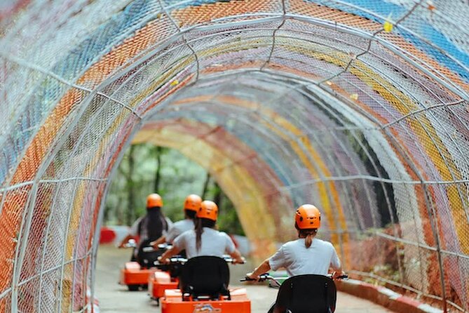 Skyline Jungle Luge - Is $79.44 good value?