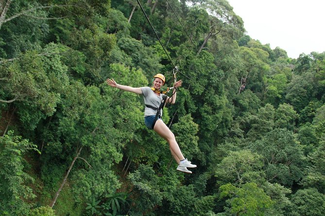 Skyline Jungle Zipline Adventure – Chiang Mai - The ziplines, including the 900-meter run