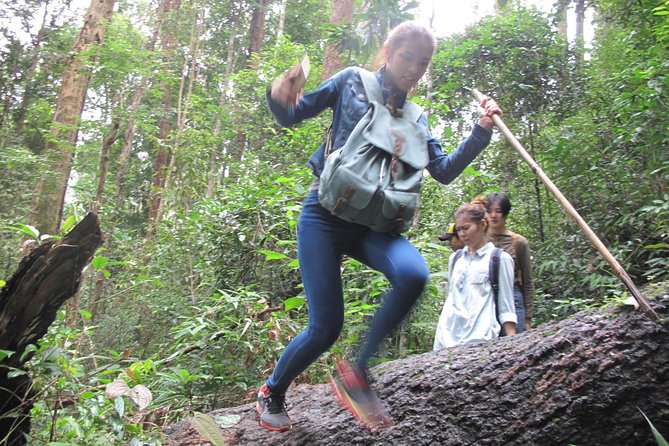 Small Group : Trekking Trip in Chiang Mai (Doi Suthep Area) with Market Tour - Morning Fresh Market Gives the Day a Local Start