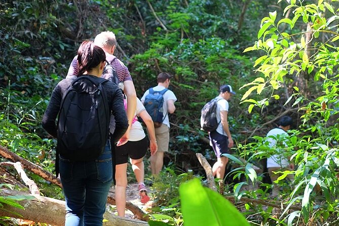 Small Group : Trekking Trip in Chiang Mai (Doi Suthep Area) with Market Tour - Doi Suthep Temple Adds Culture Before the Trail