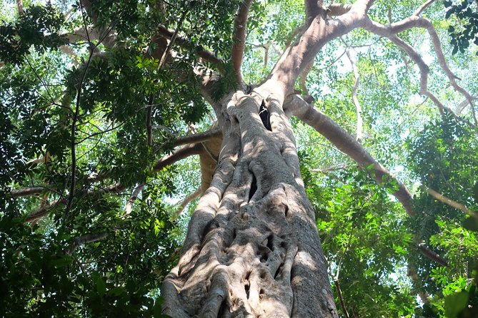 Small Group : Trekking Trip in Chiang Mai (Doi Suthep Area) with Market Tour - Why the Small Group and Included Transport Matter