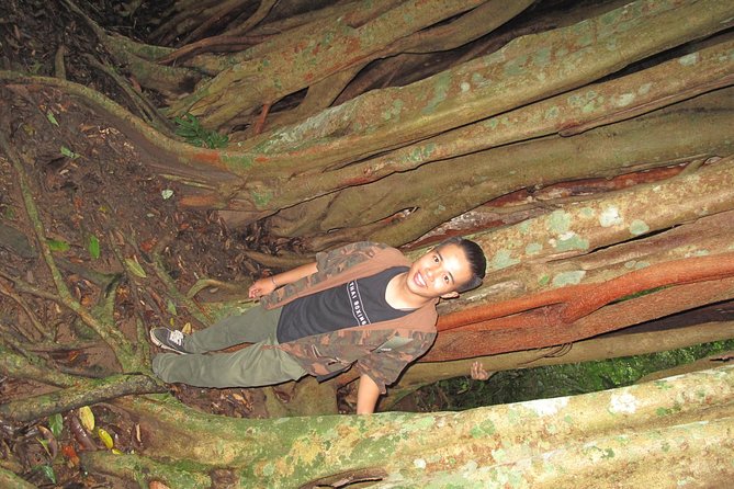Small Group : Trekking Trip in Chiang Mai (Doi Suthep Area) with Market Tour - Who Will Enjoy This Doi Suthep Trek