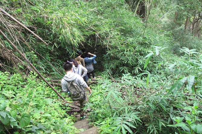 Small Group : Trekking Trip in Chiang Mai (Doi Suthep Area) with Market Tour - Khao Soi Makes Lunch Part of the Experience
