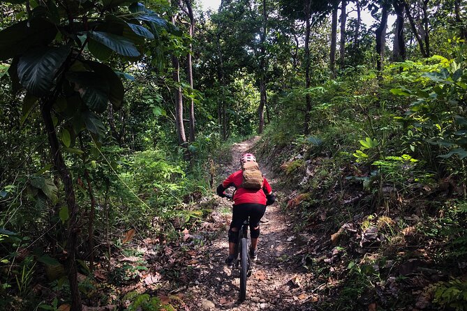 Smoke on the Water Trail Mountain Biking Tour Chiang Mai - Forest tracks, waterfalls, and changing effort