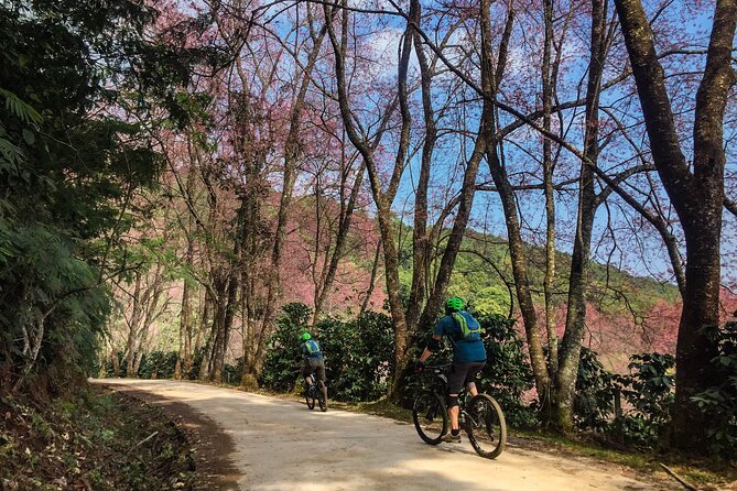 Smoke on the Water Trail Mountain Biking Tour Chiang Mai - Who should book this ride?